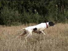 � Greta - ����� ��� ������� ��� ������- Clik to Enlarge!